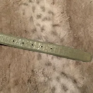 Carlisle Snakeskin Mint Belt Carlisle | Accessories | Carlisle Snakeskin Mint Belt | Poshmark main image 2